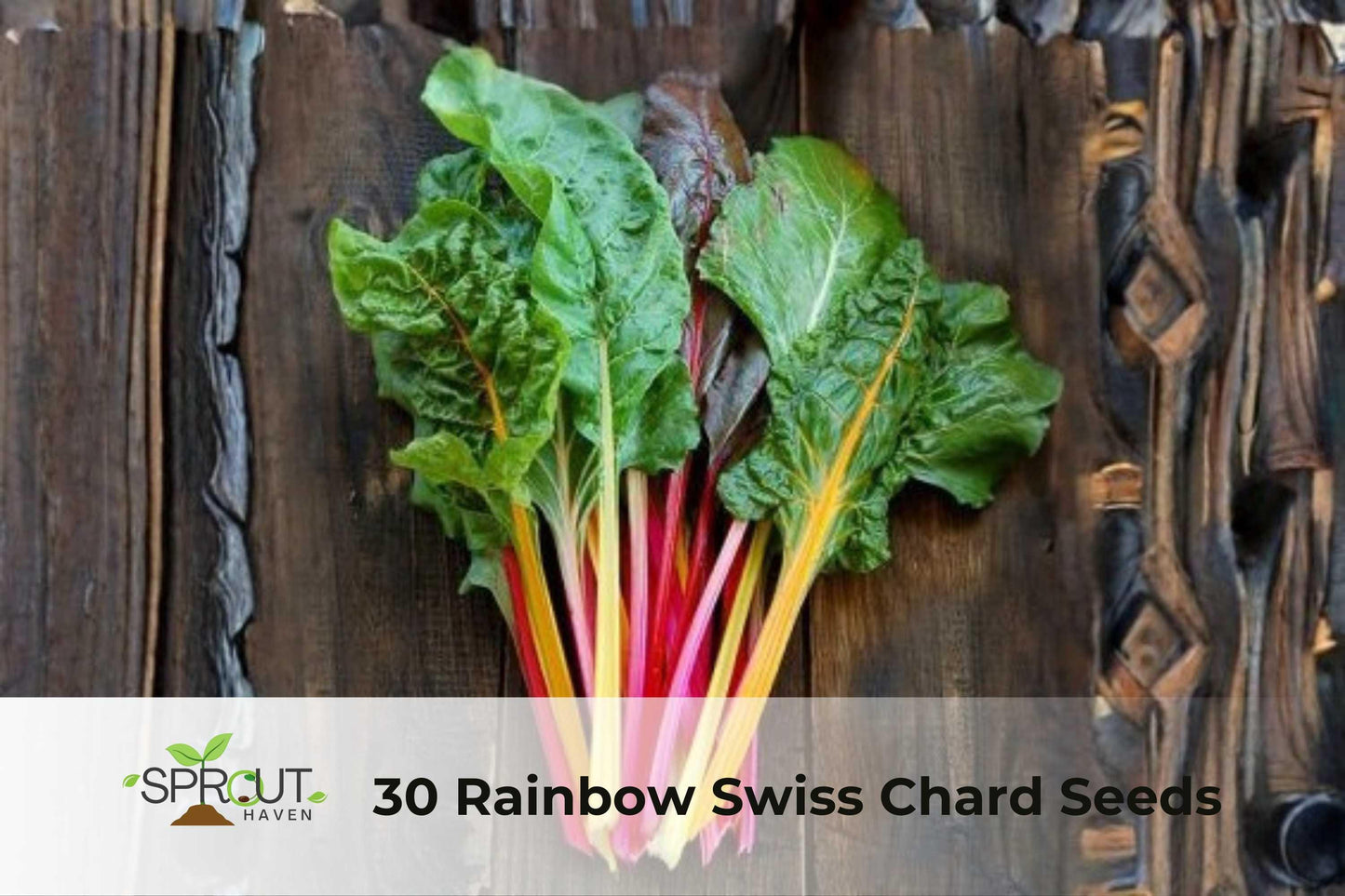 Rainbow Swiss Chard Seeds - 30 Non-GMO Bright Lights Vegetable Seeds for Colorful Stems & Edible Greens Beta vulgaris subsp. cicla