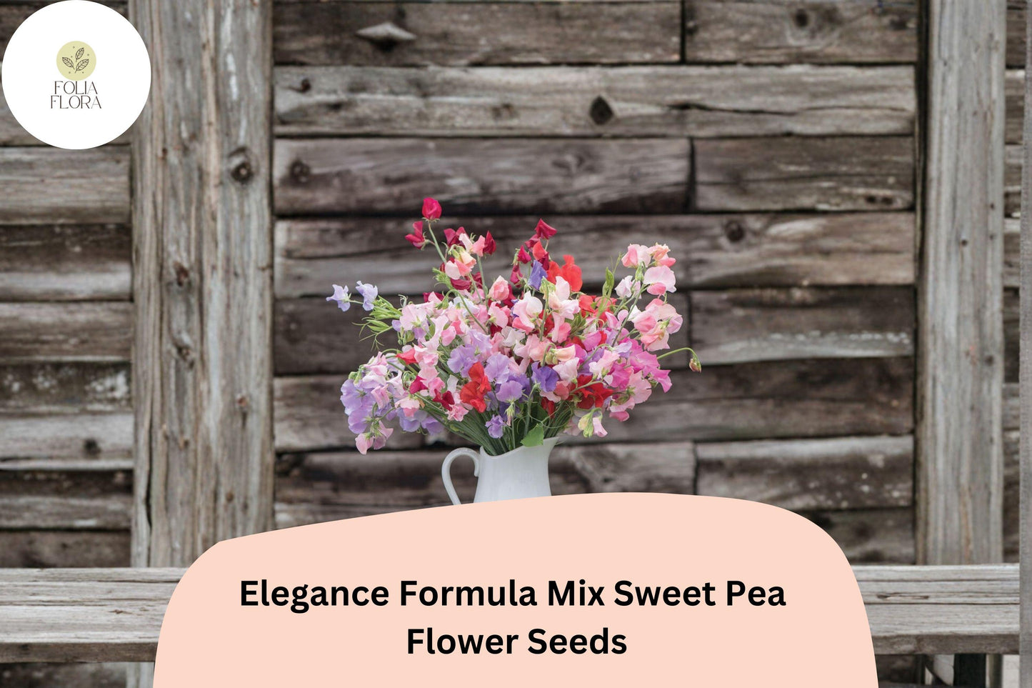 Sweet Pea Seeds, Elegance Formula Mix, Climbing Flower Seeds, Lathyrus odoratus, Colorful Blooming Vine, 50+ Seeds