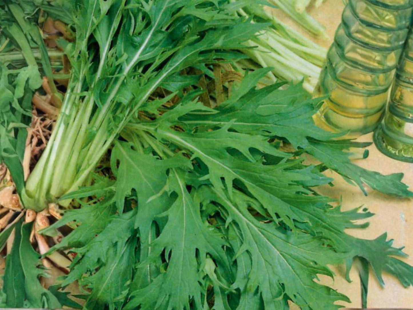 Mizuna Early Seeds – 500 Japanese Mustard Greens for Salads, Stir-Fries, Cool-Season Vegetable