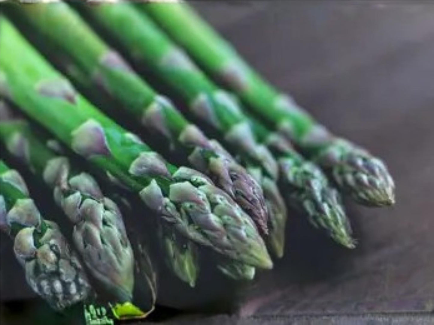 Mary Washington Asparagus Seeds – Heirloom Perennial Vegetable for Garden, Tender Green Spears, 100 Seeds