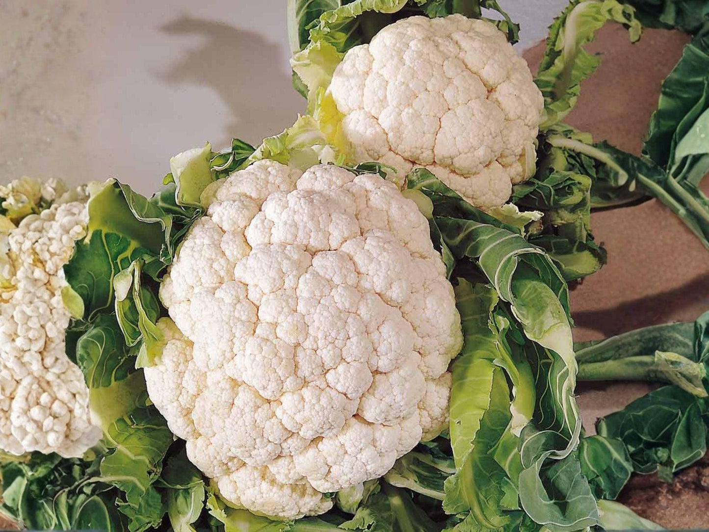 Snowball Y Improved Cauliflower Seeds – 250 Heirloom White Vegetable Seeds for Home Garden, Compact, Cool-Season Crop