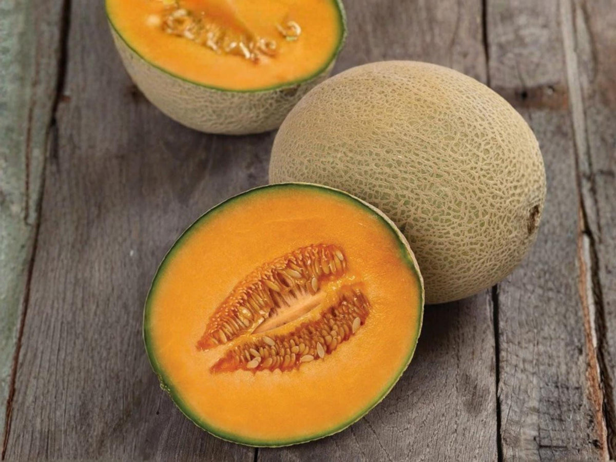 Heirloom Cantaloupe Seeds | Hale’s Jumbo Melon | Sweet Orange Flesh | Heirloom Melon Variety (50 Seeds)