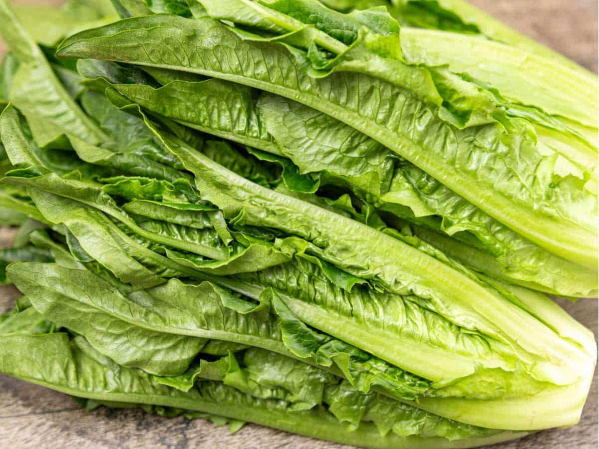 Asparagus Lettuce Seeds – 200 Yu Mai Chinese Celtuce, Asian Vegetable, Crisp Stems & Tender Leaves, Non-GMO, Fast-Growing