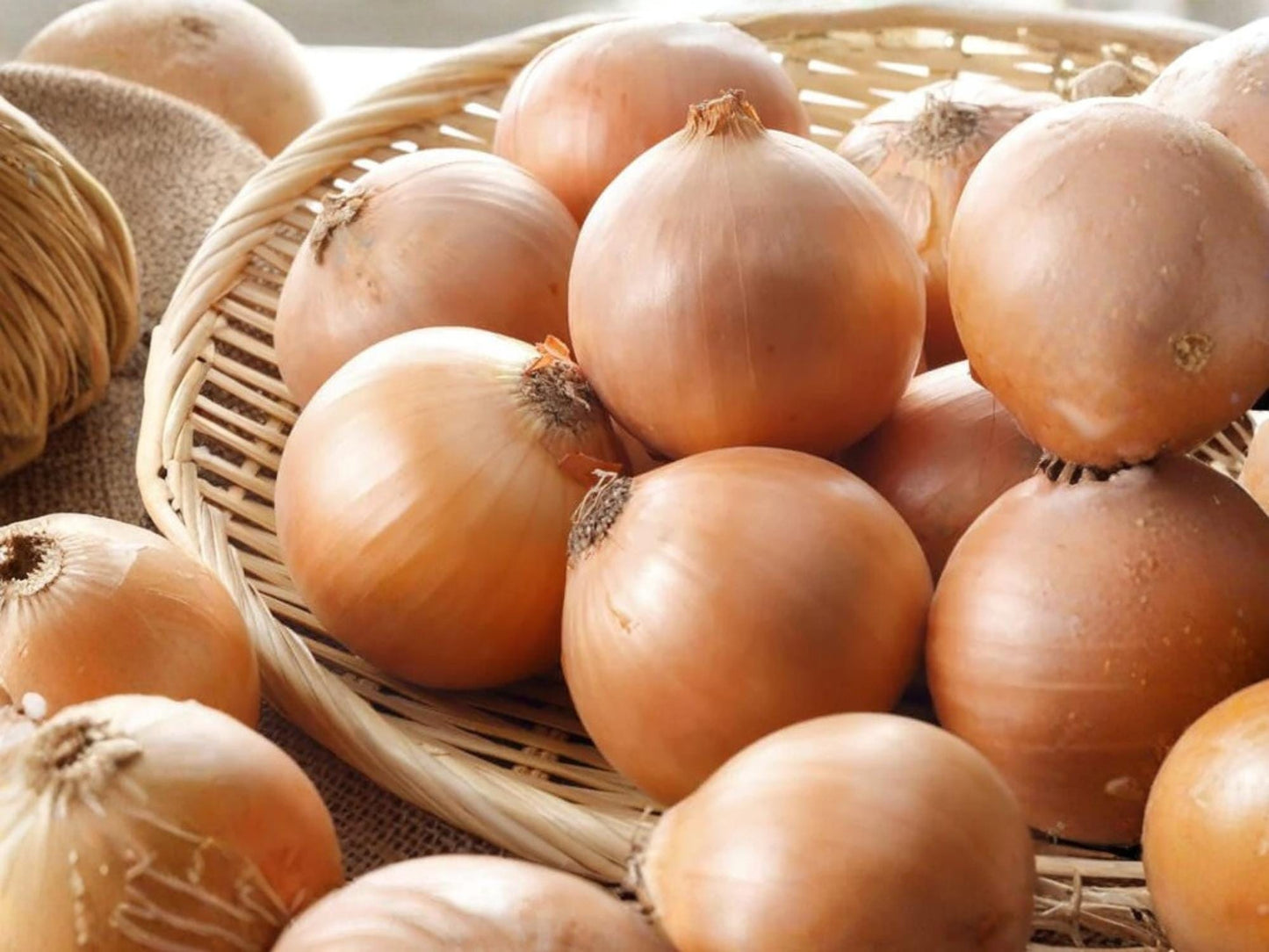 Utah Yellow Sweet Spanish Onion Seeds – Large Yellow Bulb, Sweet Flavor, Heirloom Vegetable Garden, 50 Seeds
