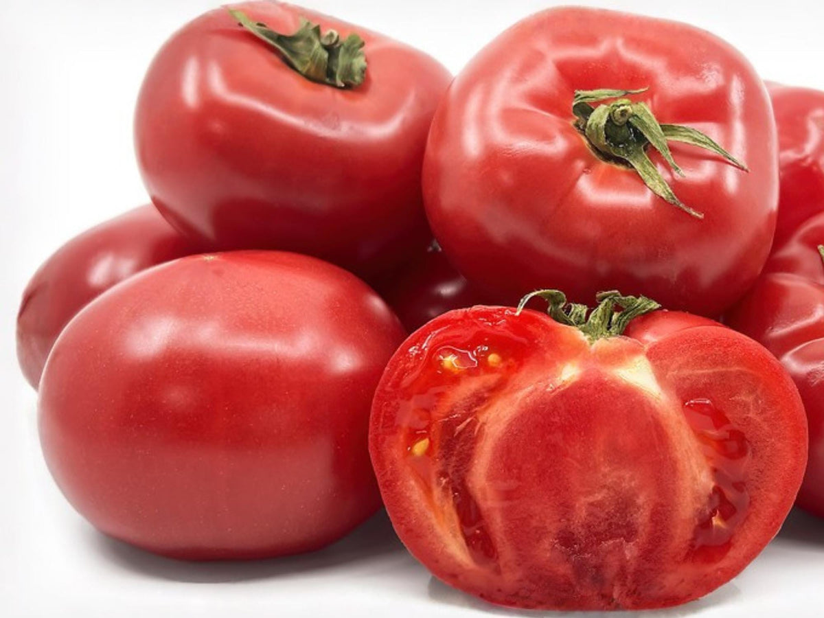 VR Moscow Tomato Seeds – Cold Hardy Early Heirloom Slicing Tomato for Cooler Climates, 30 Seeds