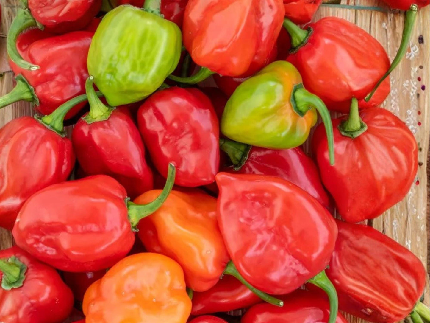 Caribbean Red Habanero Pepper Seeds – Extra Hot Chili, Heirloom, Spicy Garden Vegetable, 25 Seeds