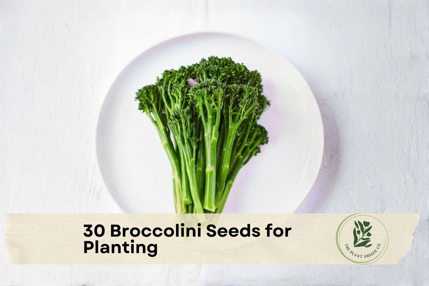 30 Broccolini Seeds - Aspabroc Hybrid Tender-Stem Broccoli for Home Gardening, Container Growing, Gourmet Vegetables