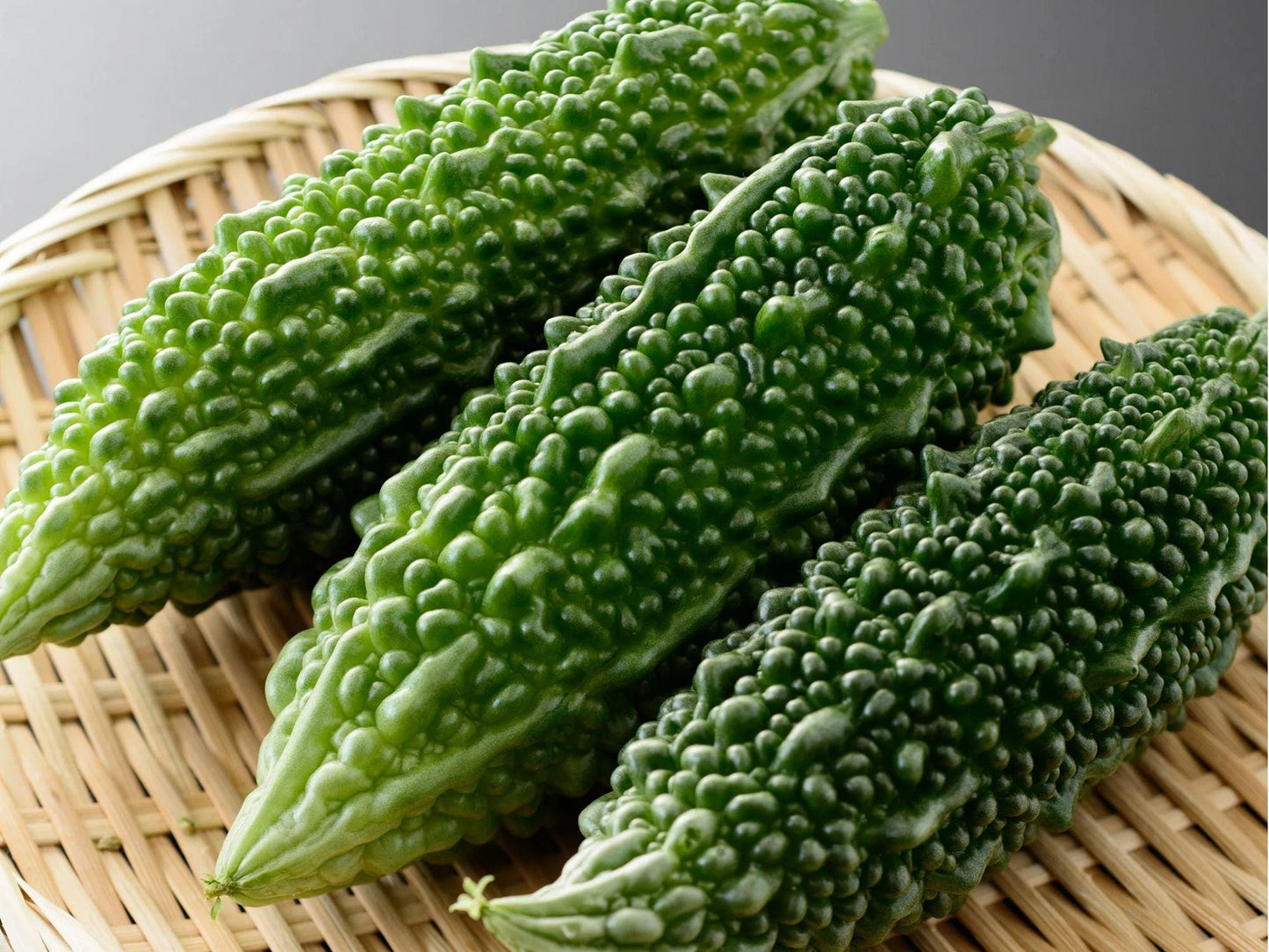 Futo Spindle Bitter Melon Seeds – Asian Gourd with Tapered Fruits, Non-GMO, Momordica charantia, 5 Seeds