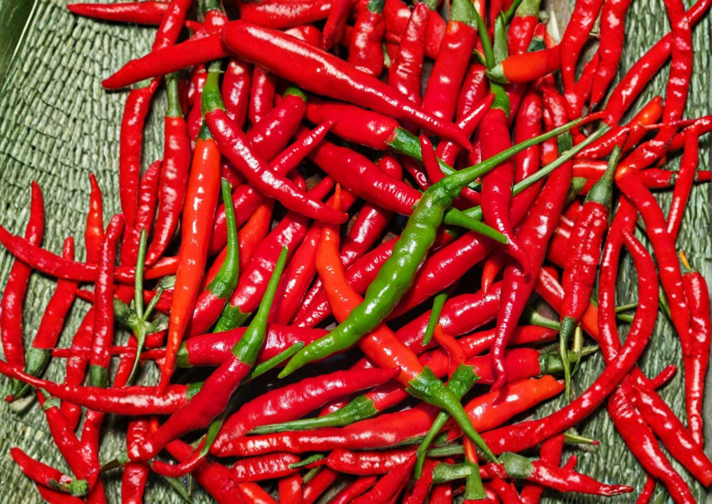 Red Long Cayenne Pepper Seeds – Heirloom Chili Vegetable for Spicy Slim Peppers, 25 Seeds