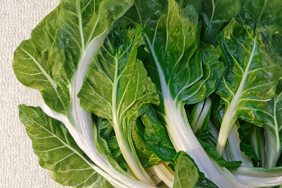 Heirloom Swiss Chard Seeds – Fordhook Variety, High Yield Leafy Green, Cool-Season Vegetable, 50 Seeds