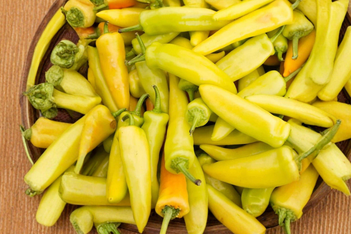 Hungarian Yellow Wax Pepper Seeds – Heirloom Mild Spicy Chilies for Garden, Pickling, and Cooking – Capsicum annuum