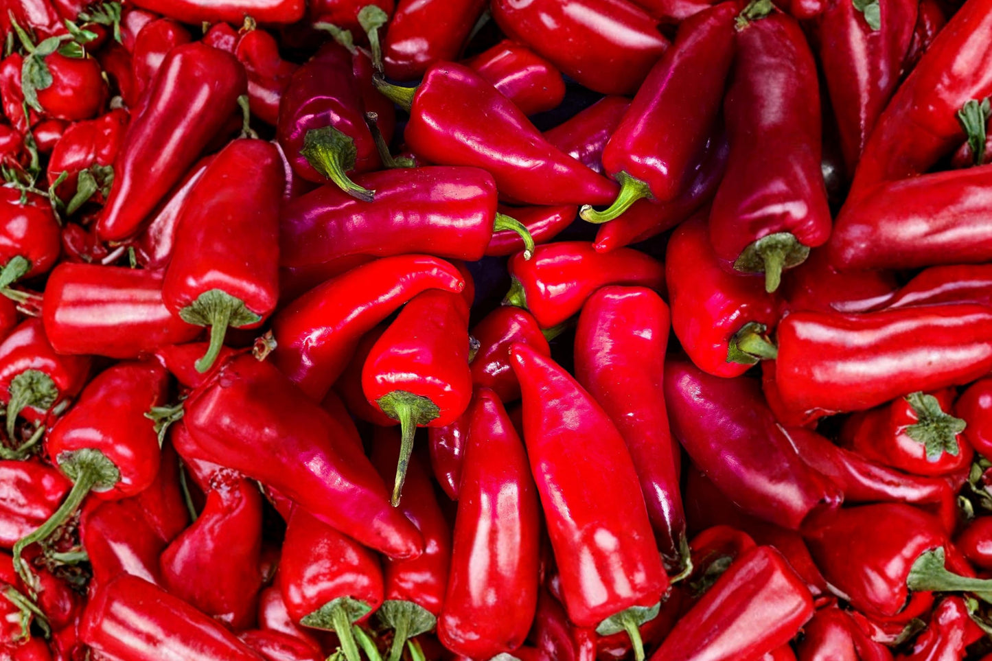 Fresno Chile Hot Pepper Seeds – Heirloom Capsicum Annuum, Medium Hot, Bright Red, Open Pollinated, Garden Plant Seeds