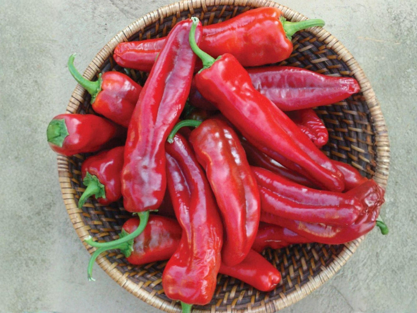 Giant Marconi Red Pepper Seeds – Heirloom Italian Sweet Frying Peppers, Long Tapered Fruits, 25 Seeds