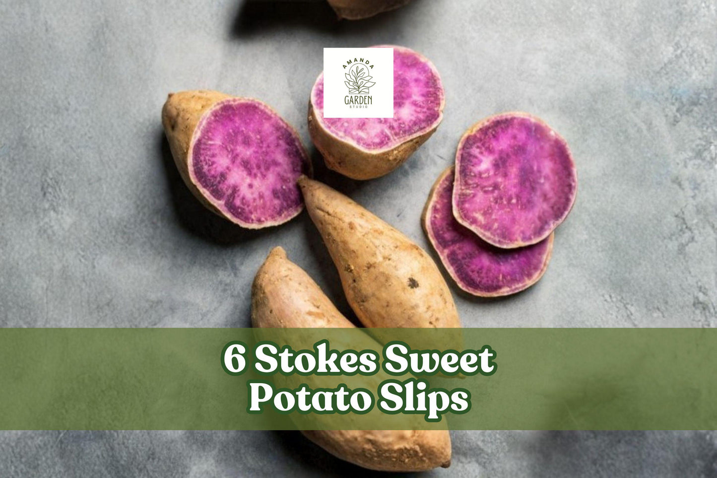 6 Stokes Sweet Potato Slips Ipomoea batatas Purple Fleshed Warm-Season Vegetable for Garden Beds