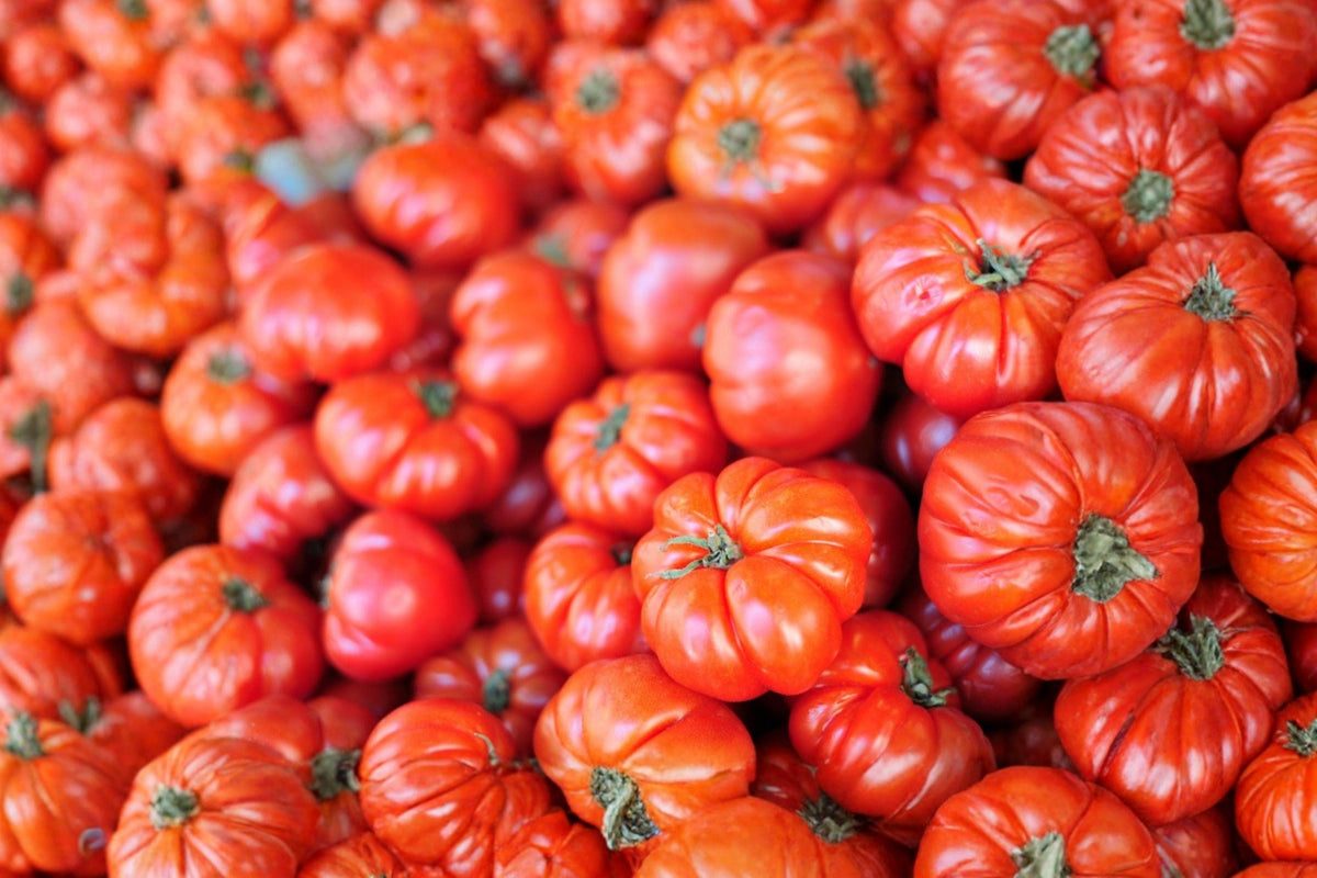 Heirloom Beefsteak Tomato Seeds – Large Slicing, High Yield, Non-GMO Garden Variety (30 Seeds)