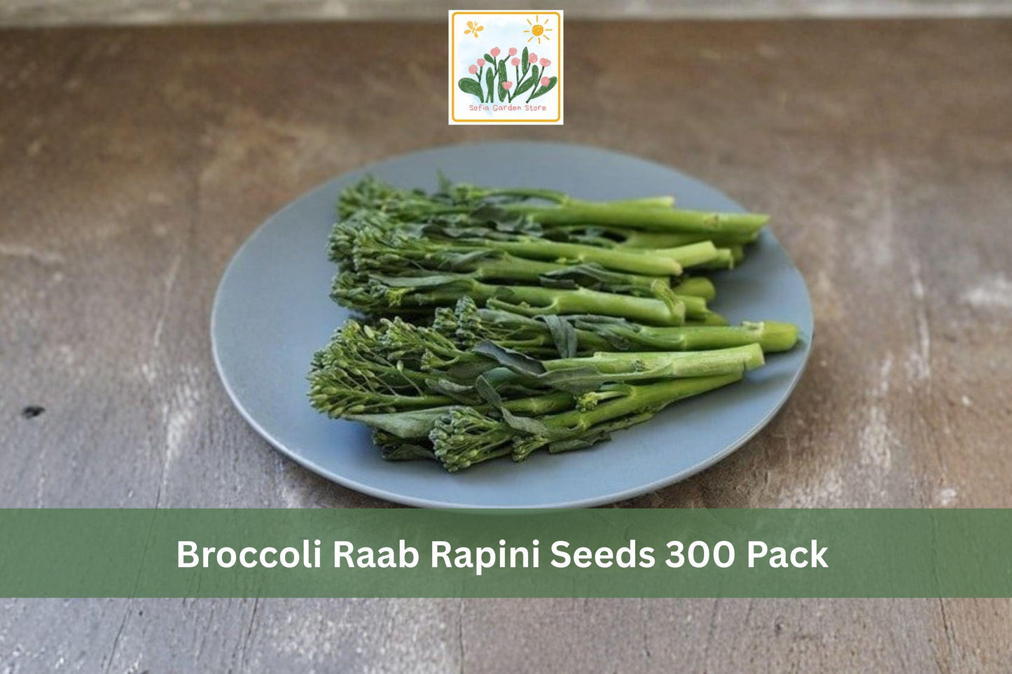 Broccoli Raab Rapini Seeds 300 Pack – Brassica rapa, Leafy Green, Cool Season Vegetable for Garden, Raised Beds, Kitchen Garden