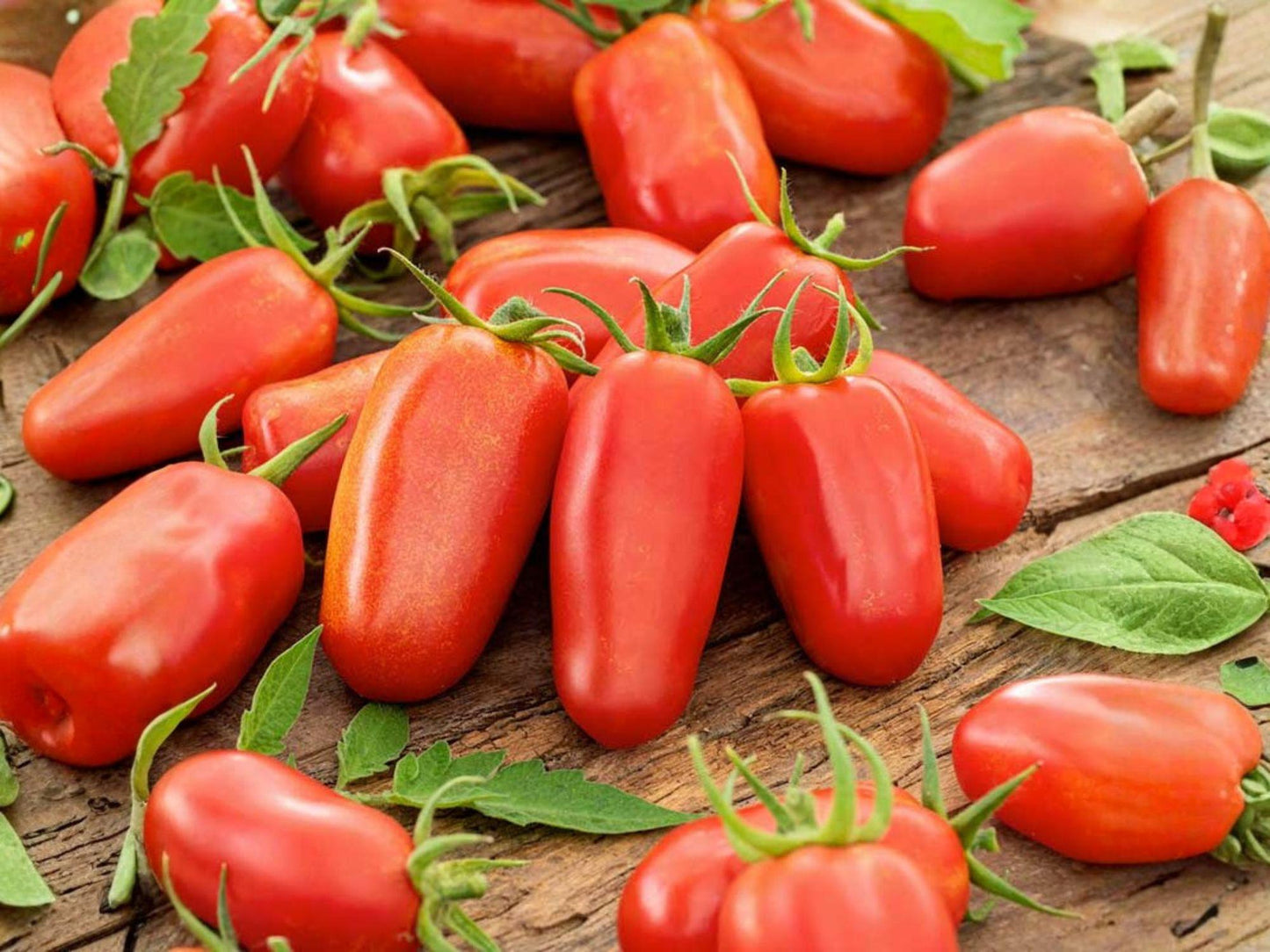San Marzano Tomato Seeds – Indeterminate Heirloom Paste for Sauce & Canning – Authentic Italian Variety, Deep Red Plum, Thick Flesh, 30 Seeds