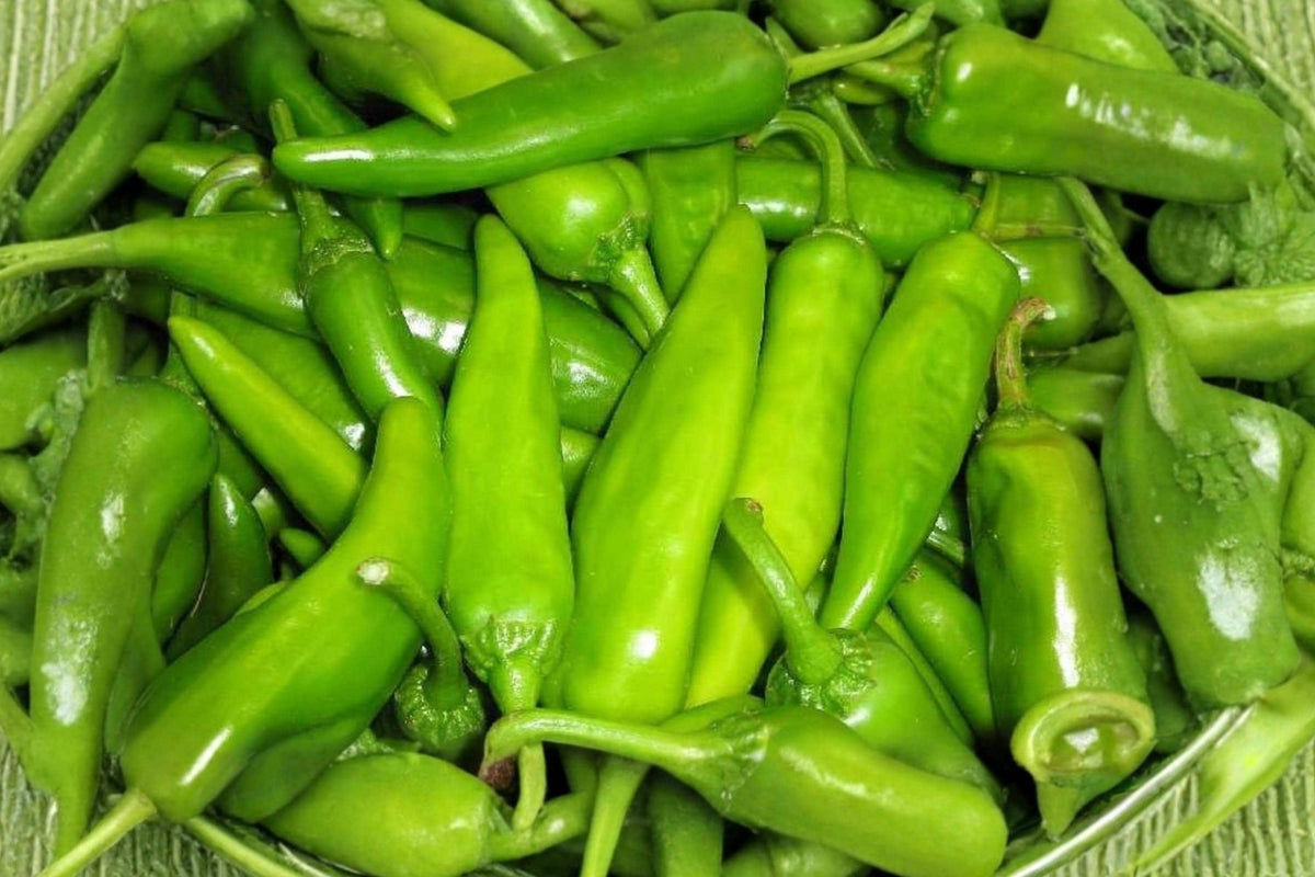 Lumbre Hot Pepper Seeds – Heirloom Spicy Red Chili, Capsicum annuum, High Yield, Hot Sauce & Drying