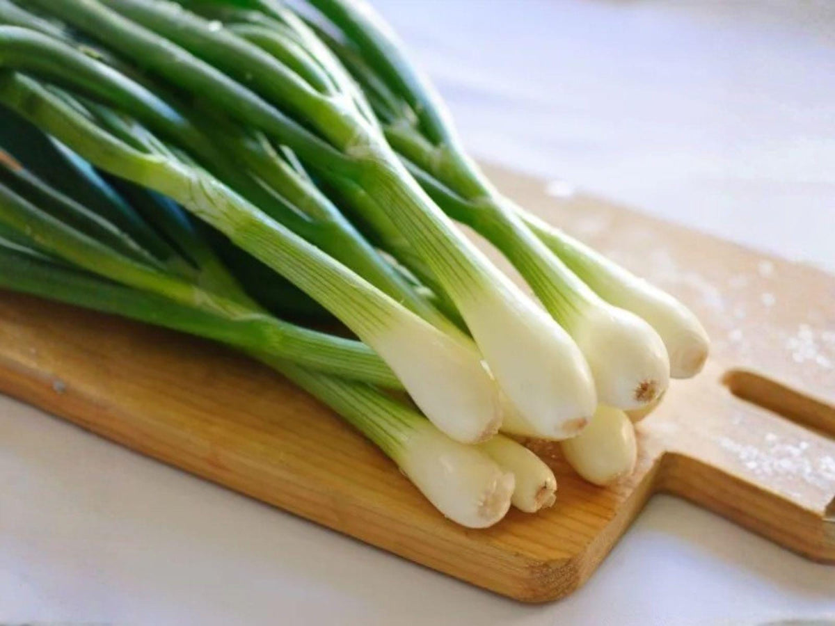 White Lisbon Bunching Onion Seeds – 50 Heirloom Scallion Green Seeds for Spring & Fall Planting