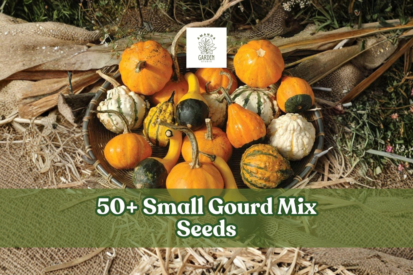 Small Gourd Mix Seeds – Ornamental Mini Gourds for Fall Decor & Crafts – Cucurbita pepo & Lagenaria siceraria