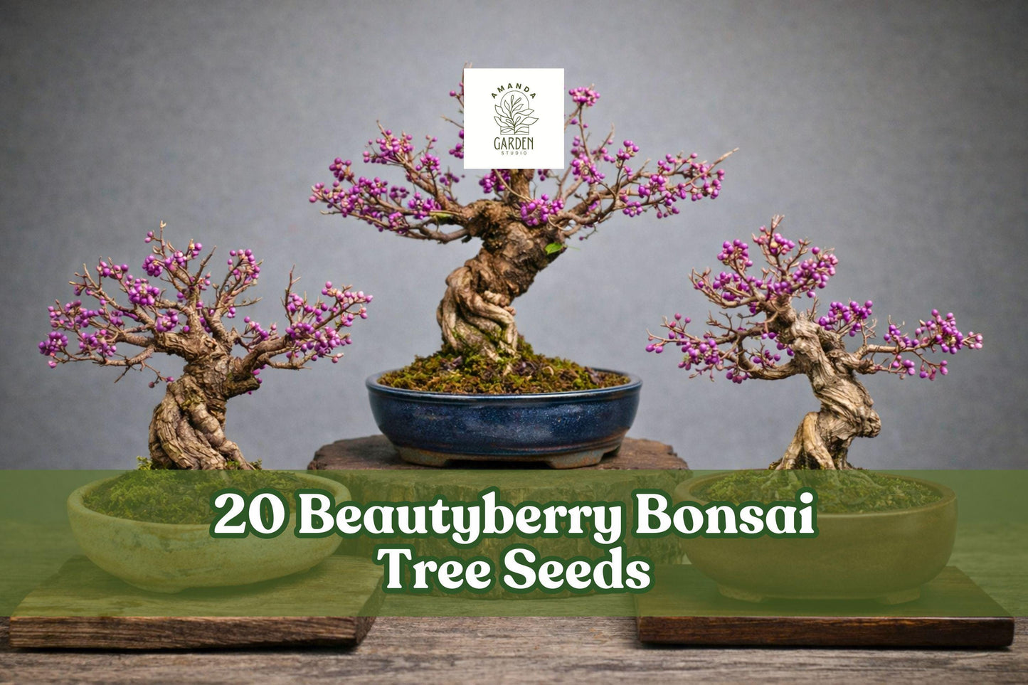 Beautyberry Bonsai Seeds – Callicarpa americana, Ornamental Shrub with Purple Berries, 20 Seeds