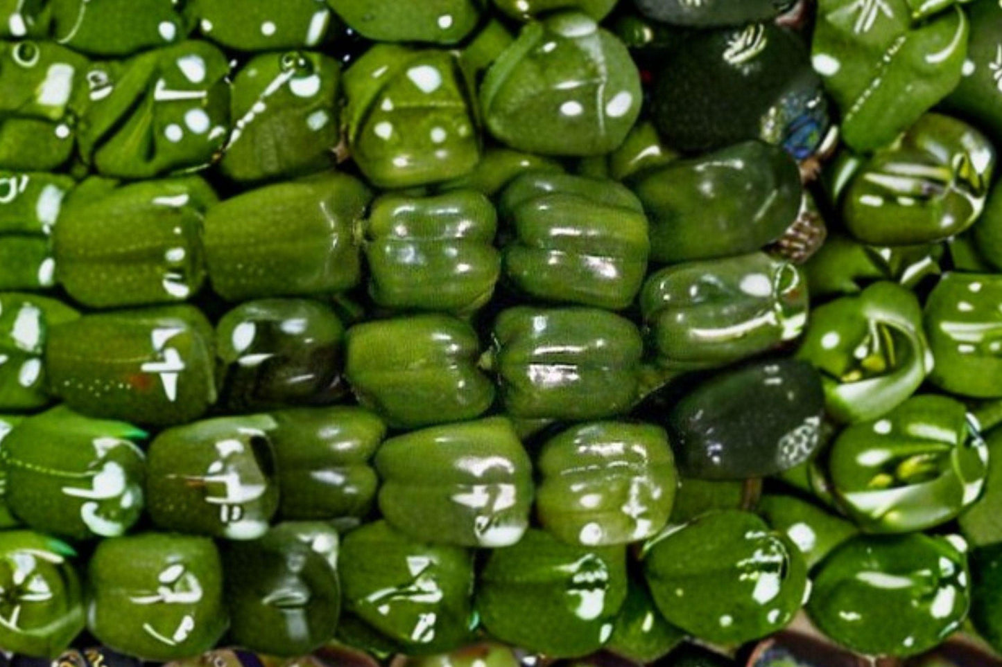 Emerald Giant Bell Pepper Seeds - Heirloom Organic Large Sweet Vegetable Garden Planting for Fresh Cooking