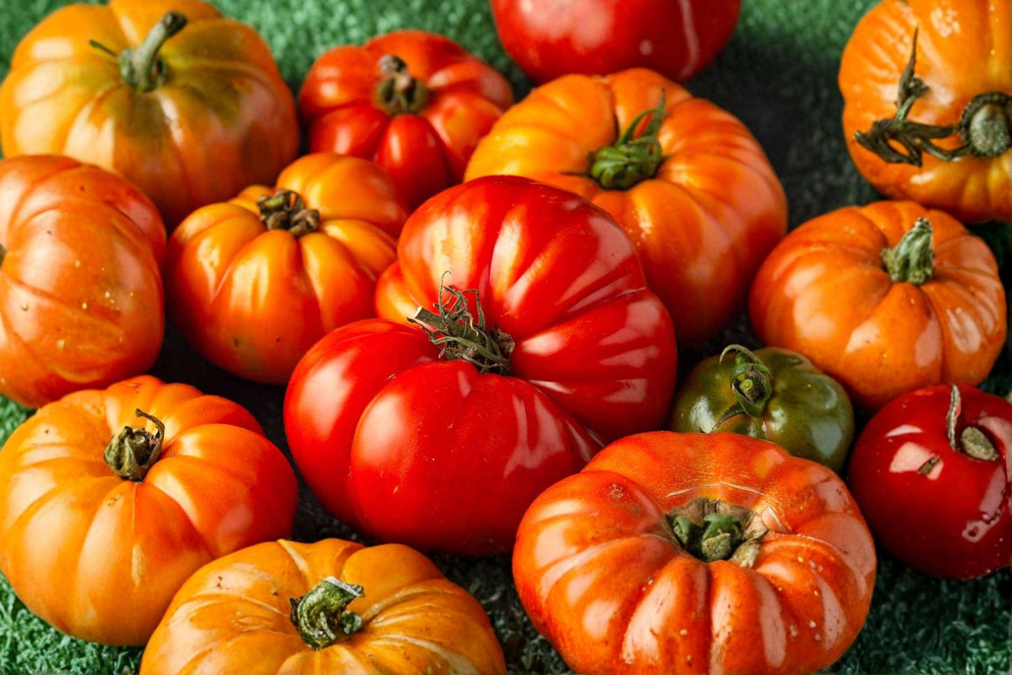 Beefsteak Tomato Seeds 120+ Heirloom Non-GMO Large Juicy Slicing Vegetable Garden Plant