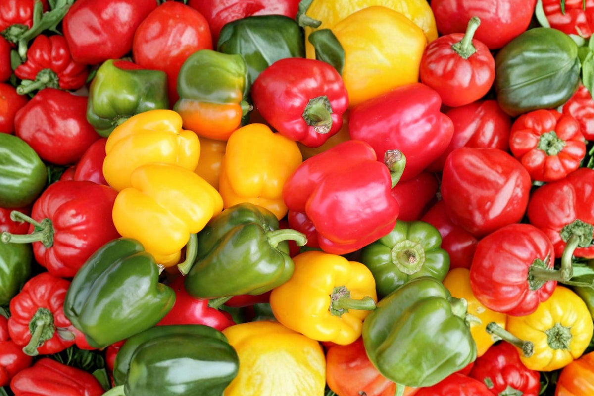 Heirloom Sweet & Spicy Pepper Seeds - Colorful Non-GMO Vegetable Garden Blend for Container & Raised Bed Growing