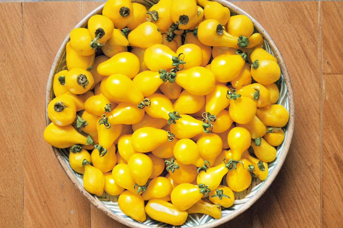 Yellow Pear Tomato Seeds - Heirloom, Non-GMO, Small Pear-Shaped Fruits, Sweet Garden Vegetable, Tomato Seeds for Container & Garden Growing