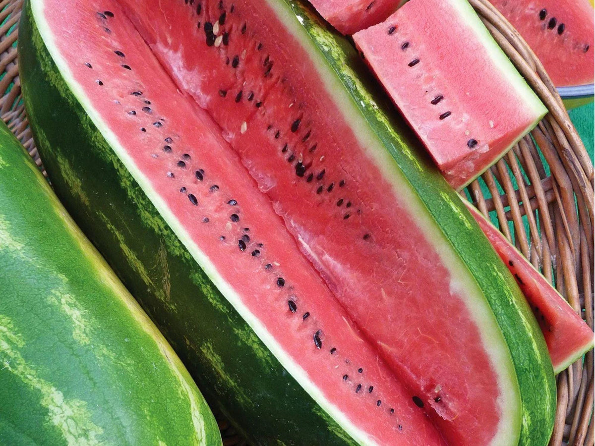Jubilee Watermelon Seeds – 10 Count, Large Striped Summer Variety, Citrullus lanatus, for Fresh Slicing and Home Garden