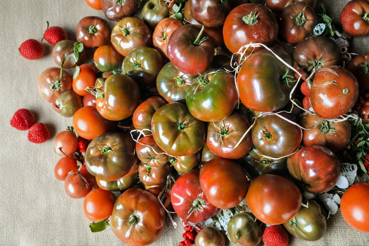 Black Krim Tomato Seeds - Heirloom Non-GMO Beefsteak Variety for Gourmet Flavor, Deep Purple Color, 120+ Seeds