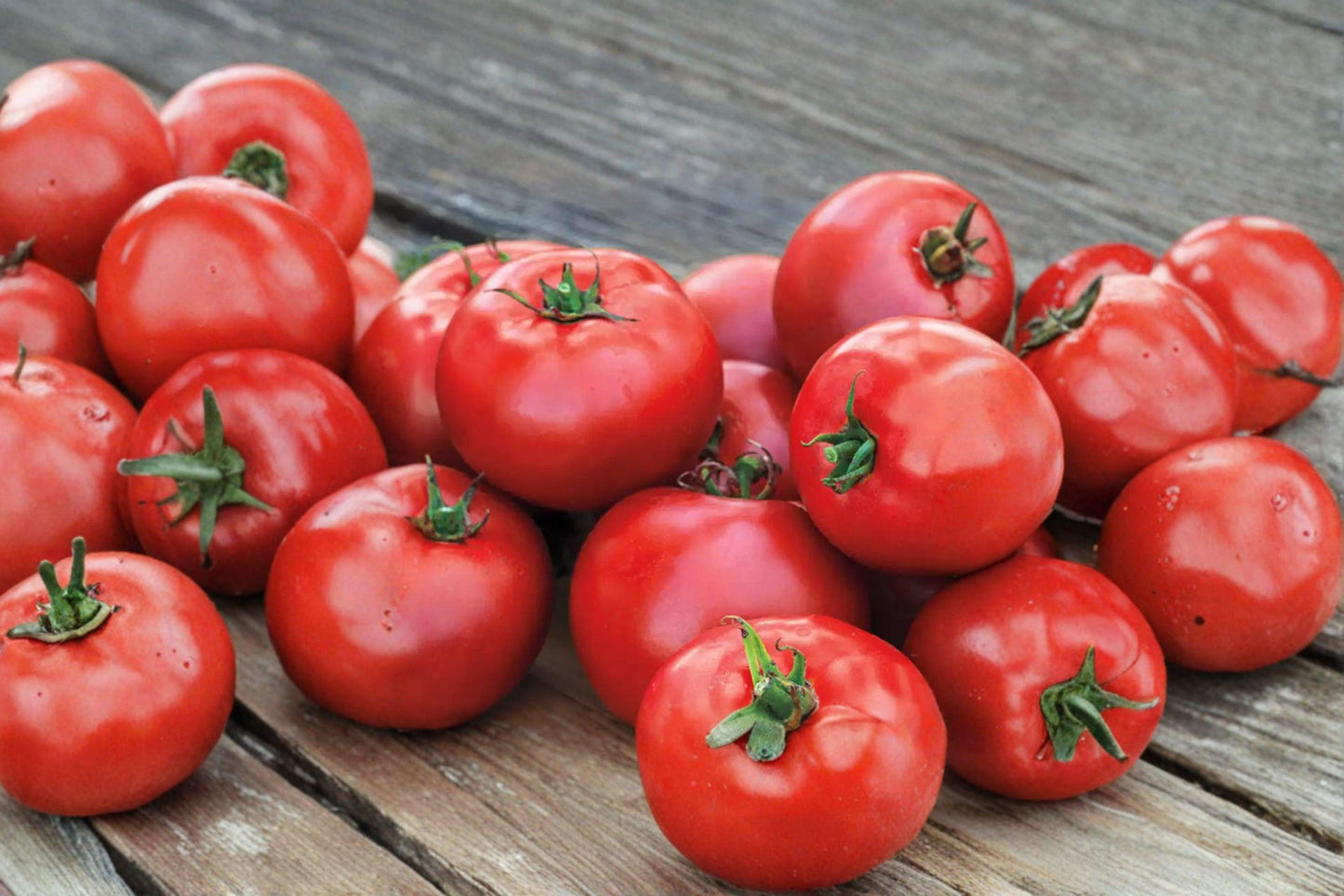 Big Boy Tomato Seeds - Non-GMO Hybrid Slicing, High Yield, Juicy Flavor, Indeterminate Plant, 30+ Seeds