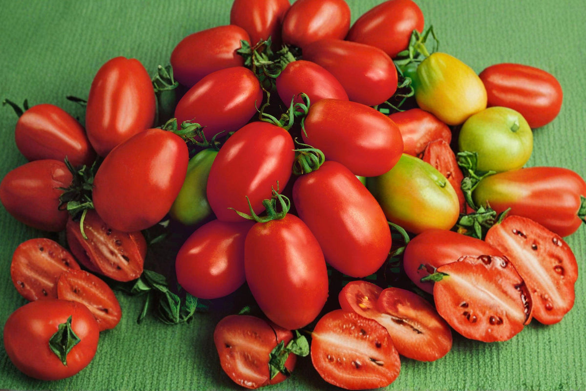 Napoli Heirloom Tomato Seeds, Early Red, Sweet Flavor, Determinate Garden Planting, Non-GMO, 10+ Seeds