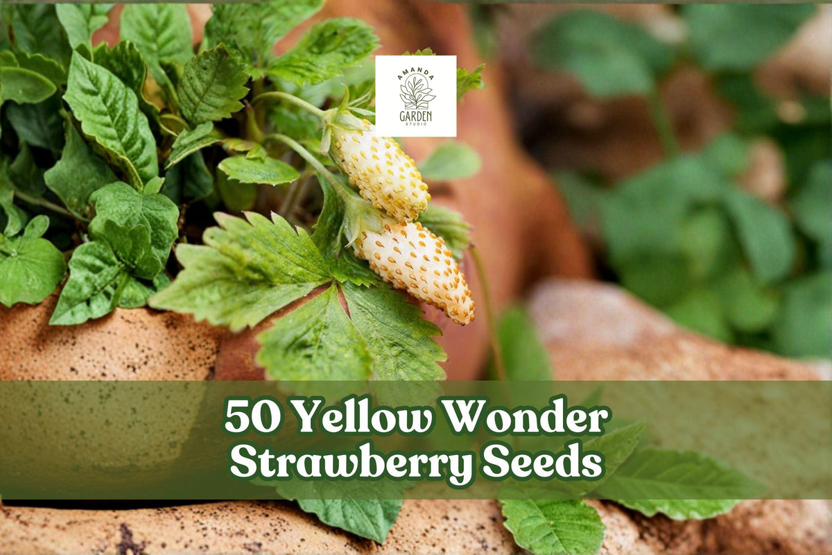 Yellow Wonder Strawberry Seeds – Fragaria vesca Alpine, Compact Clumping, Yellow Berries, Perennial Fruit Plant, 50 Seeds