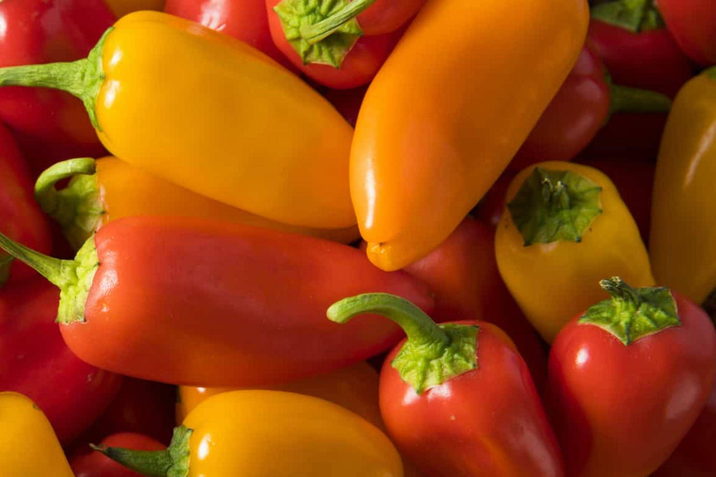 Sweet and Spicy Pepper Seeds - Colorful Mix of Mild to Hot Varieties for Garden, Container, and Raised Bed Growing