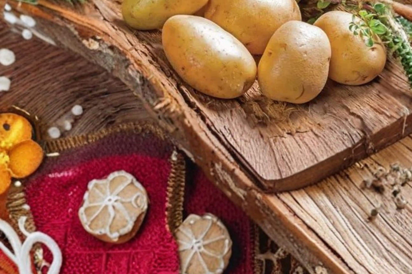 Kennebec Potato Seed Tubers – 5 Pounds, Solanum tuberosum, Reliable Garden Crop, Seed Potatoes for Home Gardening