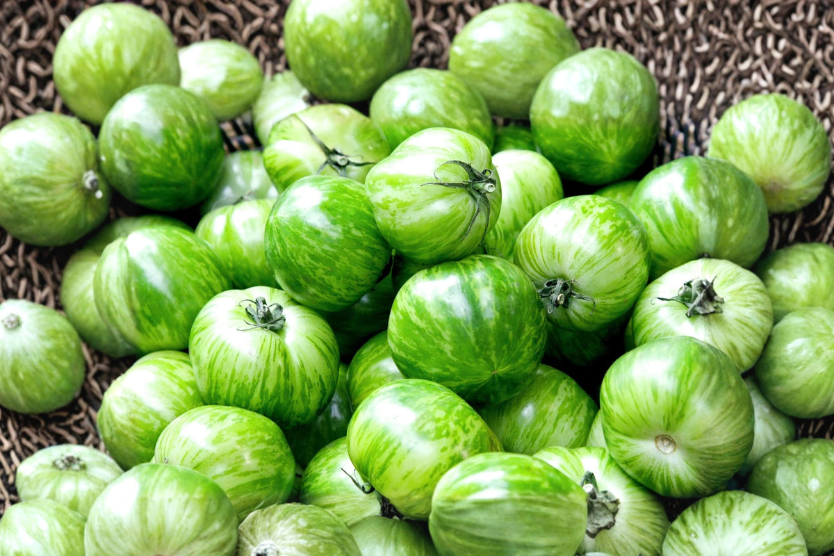 Green Zebra Tomato Seeds - Heirloom, Non-GMO, Indeterminate, Striped Green and Yellow, 120+ Seeds