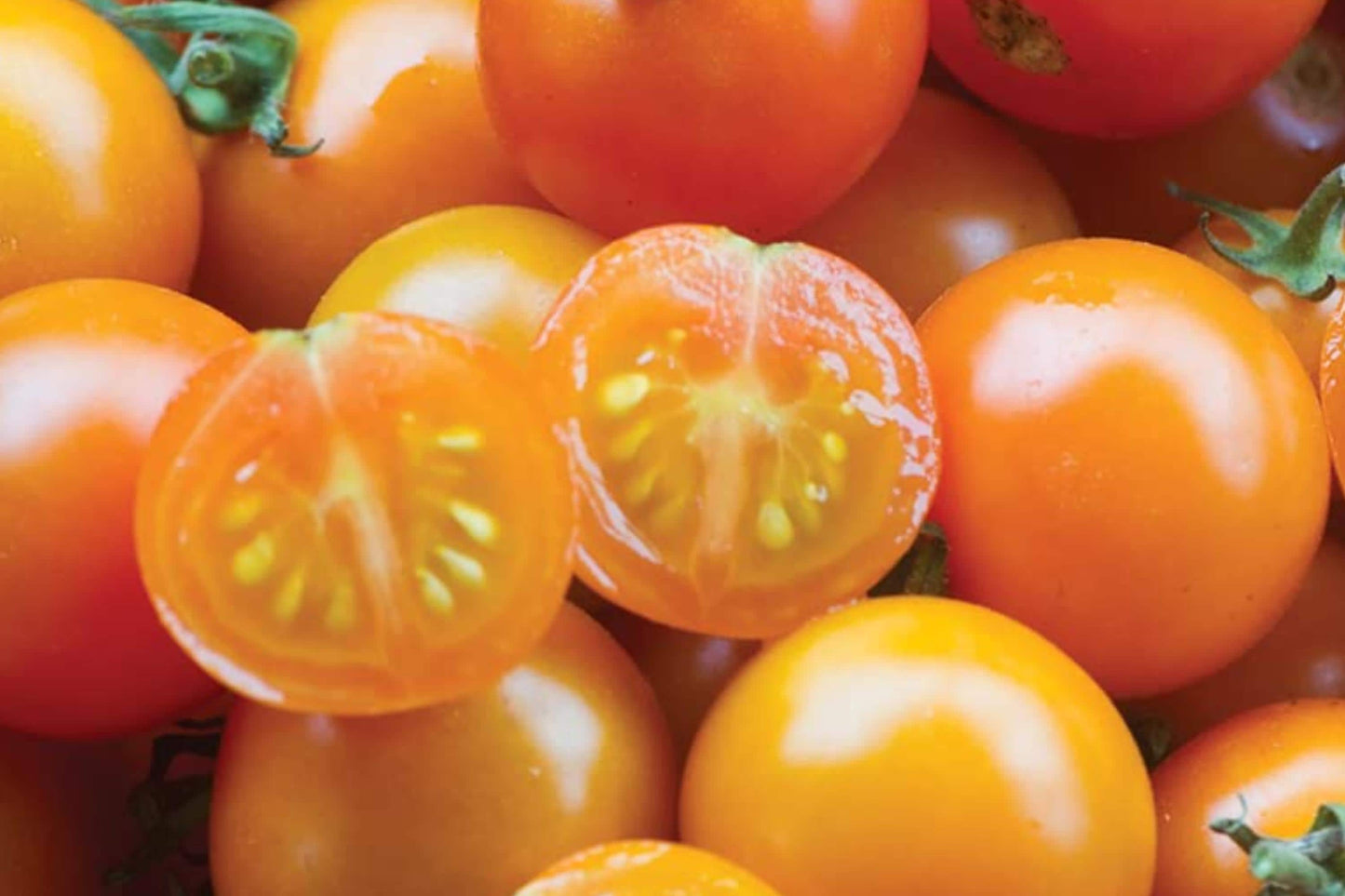 Orange Cherry Tomato Seeds, Heirloom, High Yield, Bite-Size Fruit, Solanum lycopersicum