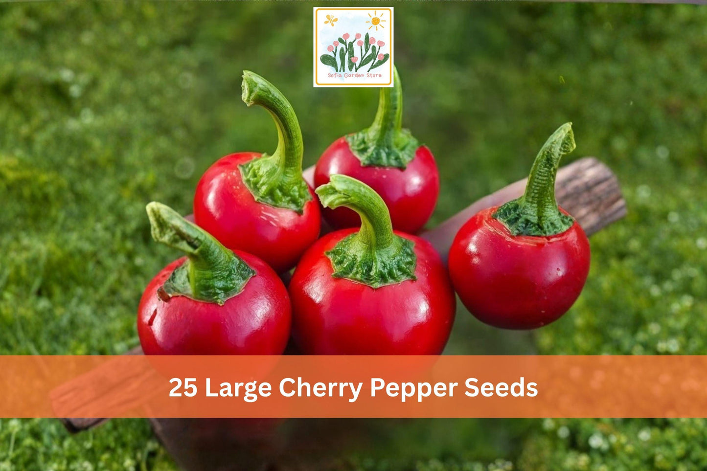 Large Cherry Hot Pepper Seeds, Capsicum annuum, Red Cherry-Shaped Fruit, Vegetable Seeds for Garden Planting