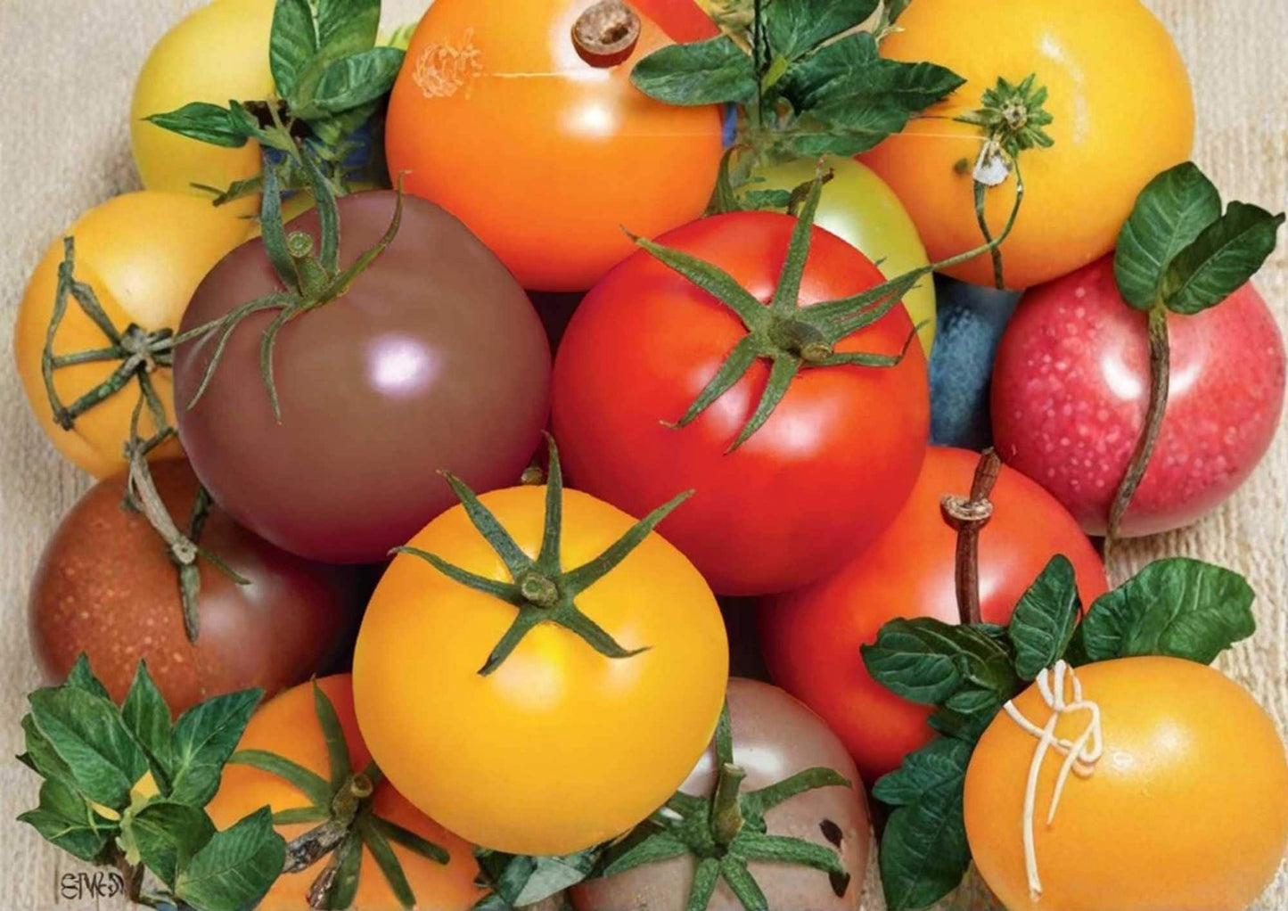 Rainbow Cherry Tomato Seeds - Heirloom Non-GMO Vegetable Seeds for Garden Planting, Solanum lycopersicum