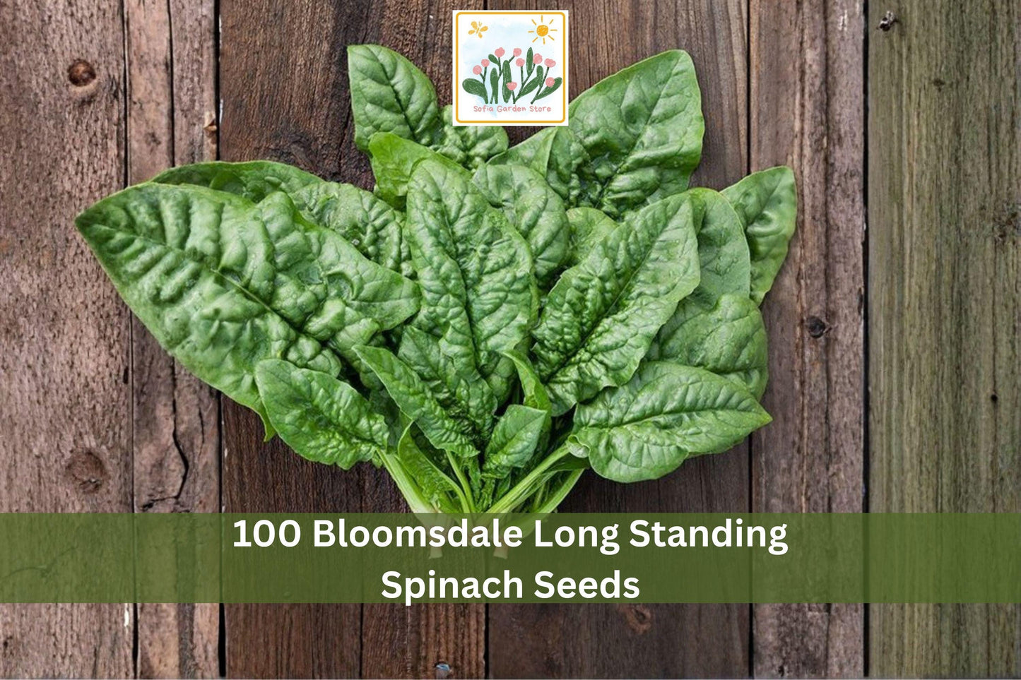 Bloomsdale Long Standing Spinach Seeds | Leafy Green Vegetable Seeds for Garden Planting | Spinacia oleracea
