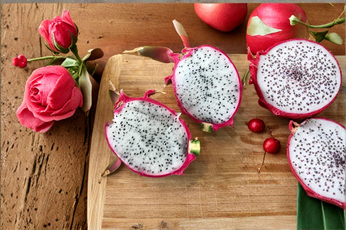 Dragon Fruit Plant – Hylocereus undatus – Edible Fruit Climbing Cactus – Live Rooted Plant for Garden or Container Growth