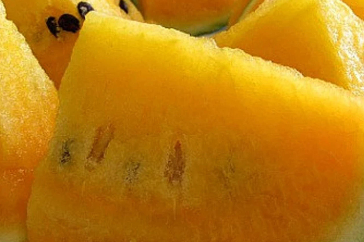Yellow Flesh Moon and Stars Watermelon Seeds – Heirloom Non-GMO Garden Variety, Juicy Yellow Flesh, Star-Speckled Rind