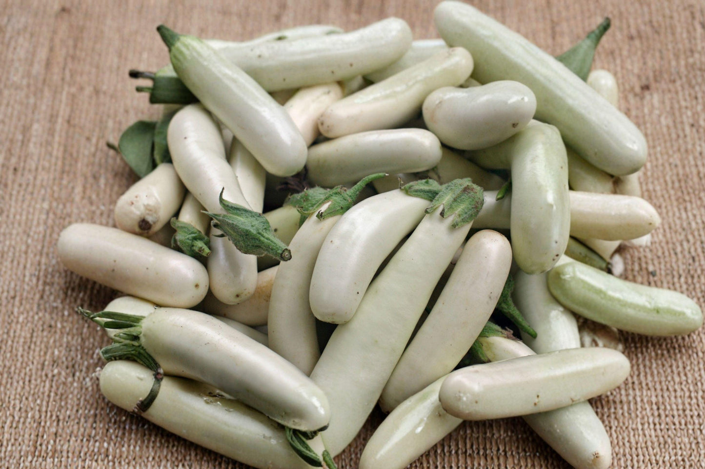 Casper White Eggplant Seeds - Heirloom Non-GMO High Yield Vegetable Seeds for Unique Ivory Eggplants (Solanum melongena)
