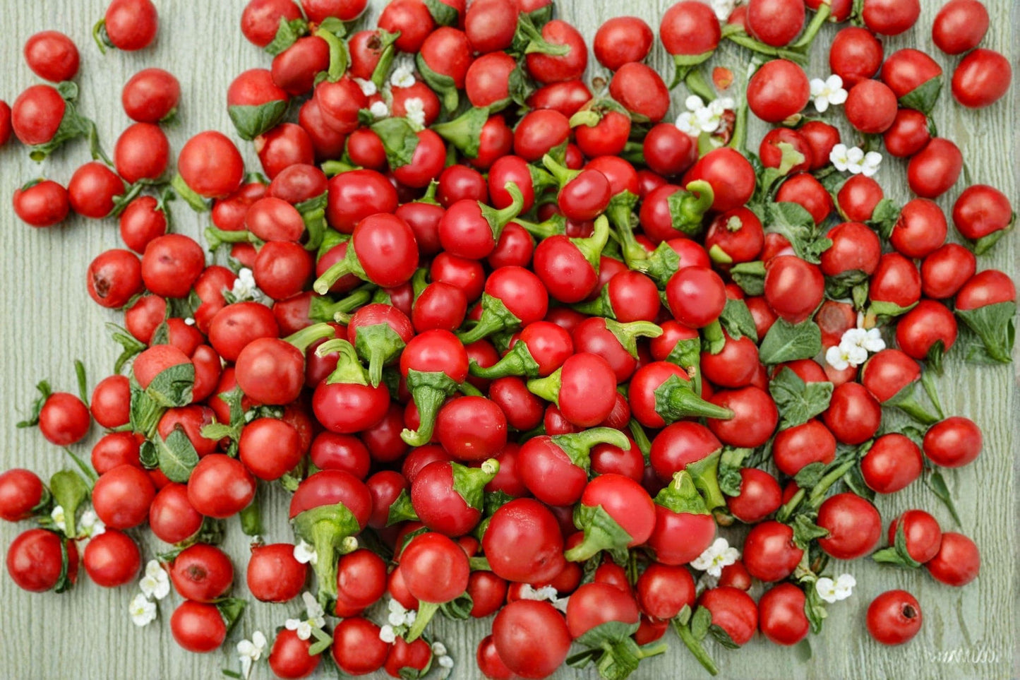 Large Red Cherry Pepper Seeds, Medium Heat, Sweet Spicy Flavor, High Yield, Capsicum annuum