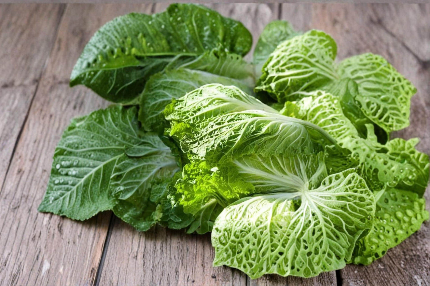Chinese Cabbage Seeds – Brassica rapa ‘Kogane’ – Compact Leafy Vegetable for Salads and Stir-Fries