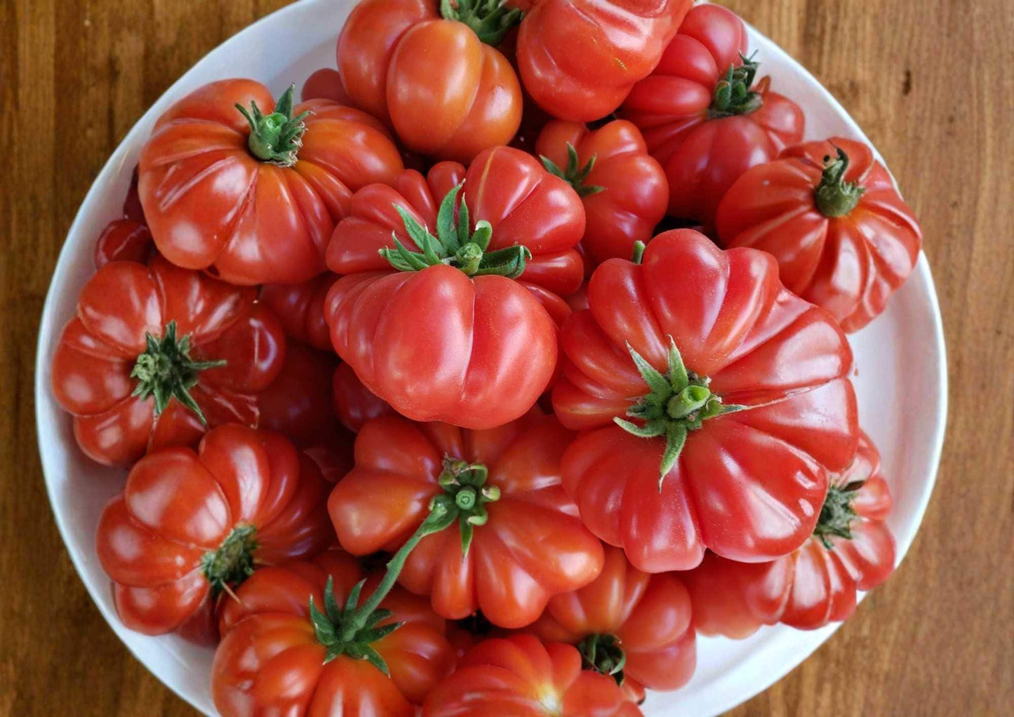 Big Zac Tomato Seeds – Rare Heirloom, Giant Beefsteak, World Record Size, Vegetable Seeds for Garden Planting