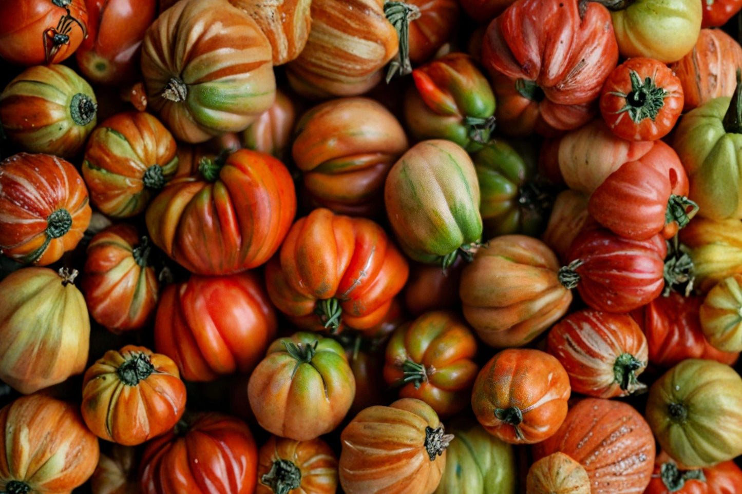 Orange Oxheart Tomato Seeds - Heirloom, Heart-Shaped, Non-GMO, High Yield Fruits, Solanum lycopersicum