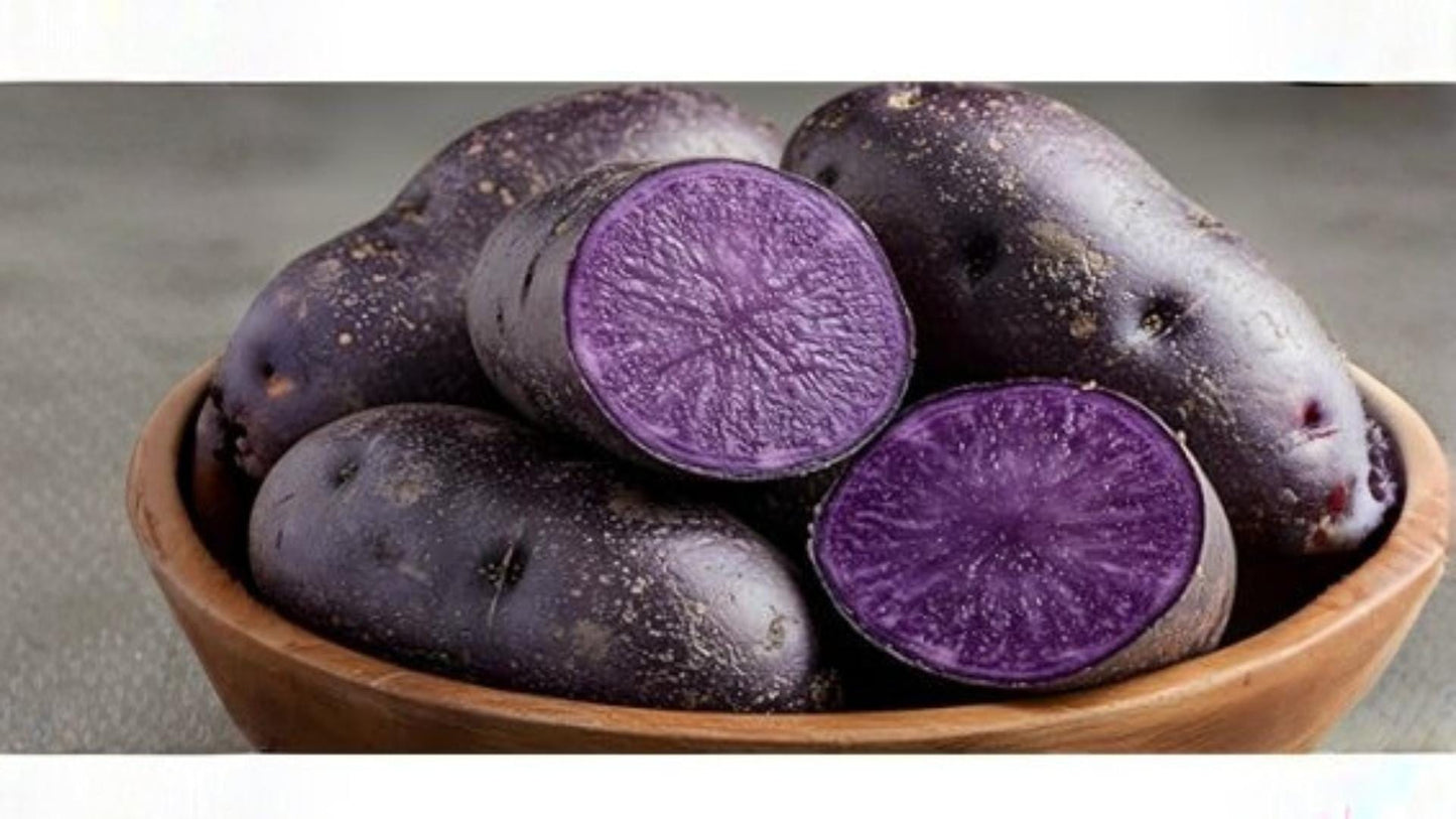 Purple Majesty Seed Potatoes – 3 Pounds, Solanum tuberosum, Purple Flesh & Skin, Tuber Crop for Home Garden Planting