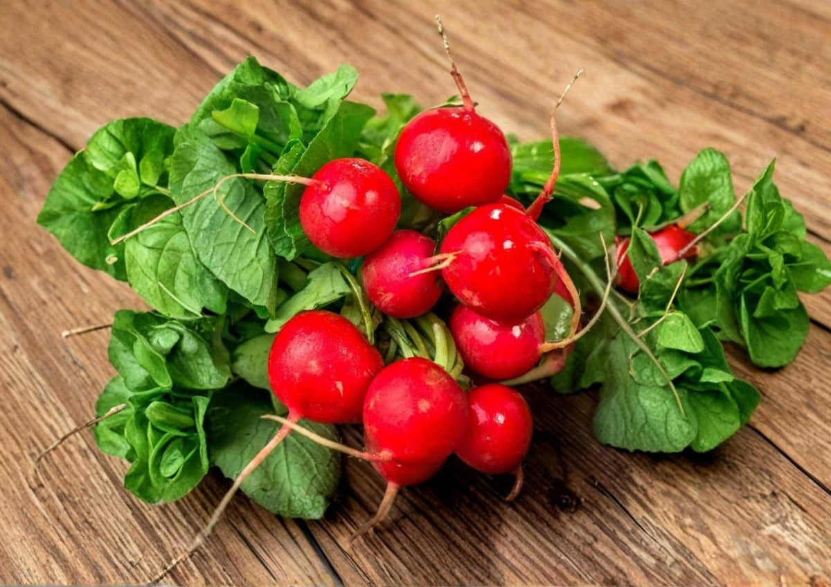 Cherry Belle Radish Seeds – Heirloom Non-GMO Vegetable Seeds for Garden Planting, Bright Red, Fast-Growing, Round Radishes